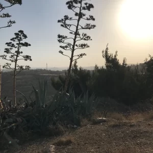 Overlook view of Shepherds' Fields in Jerusalem