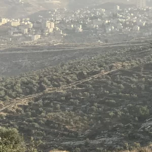 view of Bethlehem from the overlook