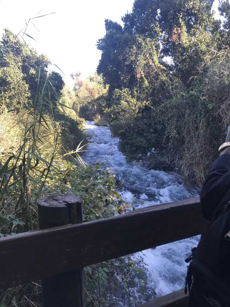 Springs of Tel Dan